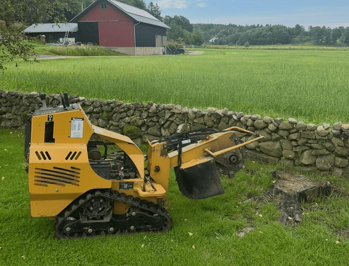stubbfrsning.v2.kungl